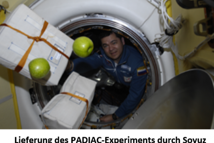 Lieferung des PADIAC-Experiments durch Soyuz TMA-01M an Bord der ISS (Quelle: ESA)